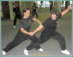 Northern Shaolin kung fu
